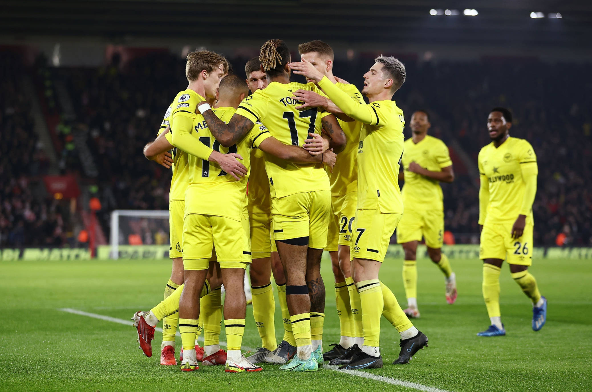 多样化的动 多样化的动