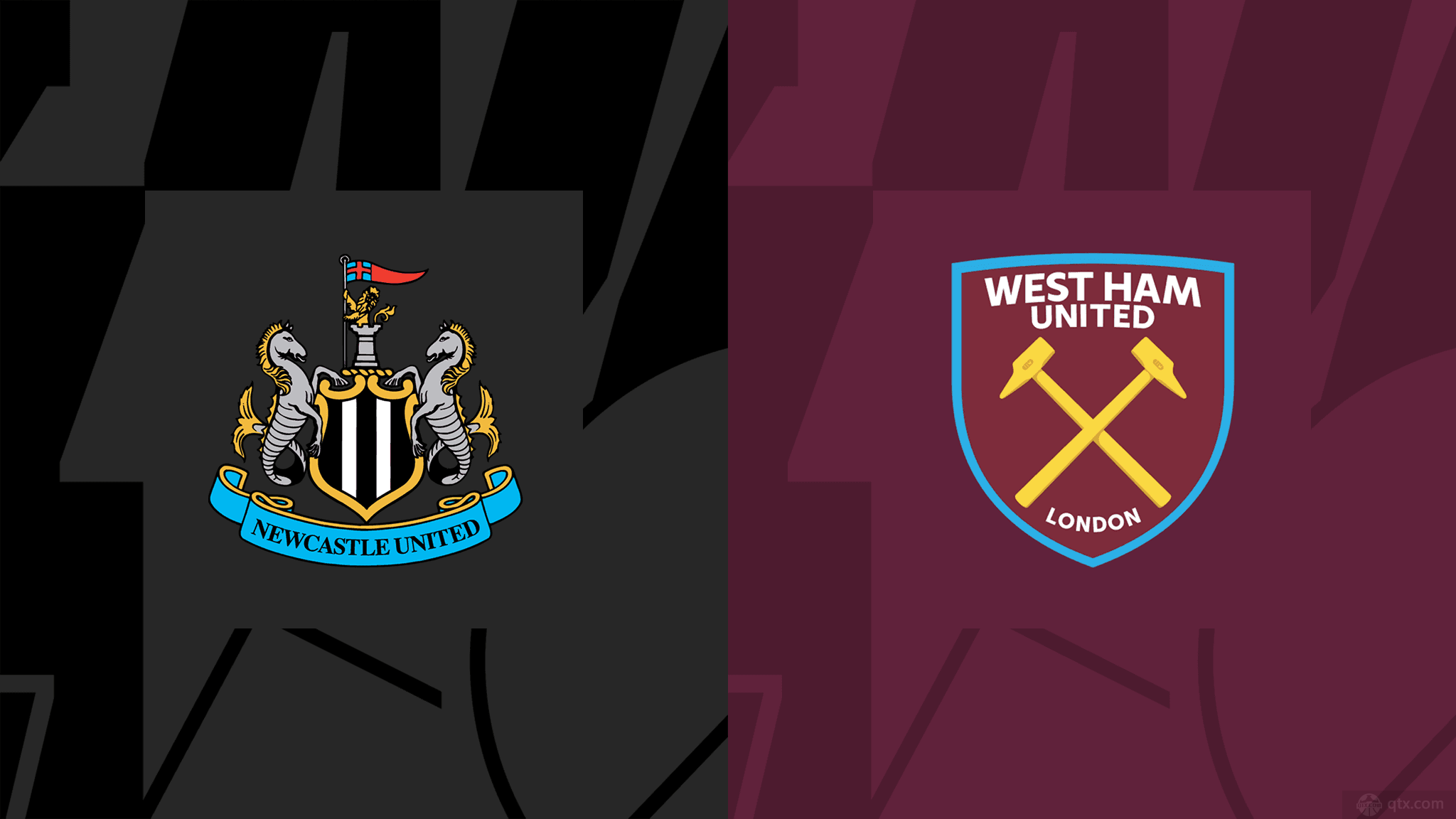 尽管有姚明 尽管有姚明