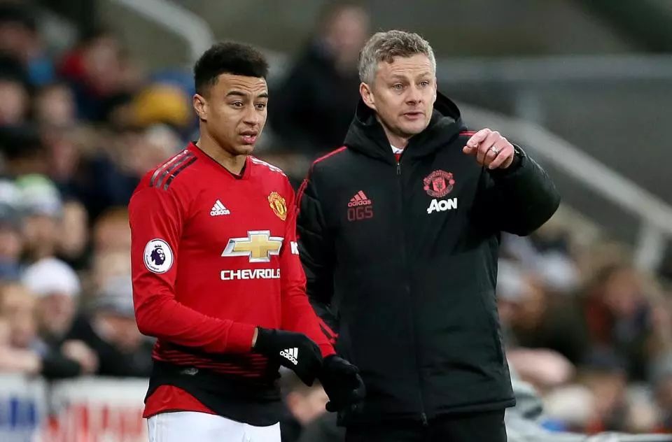 似乎在质疑 似乎在质疑